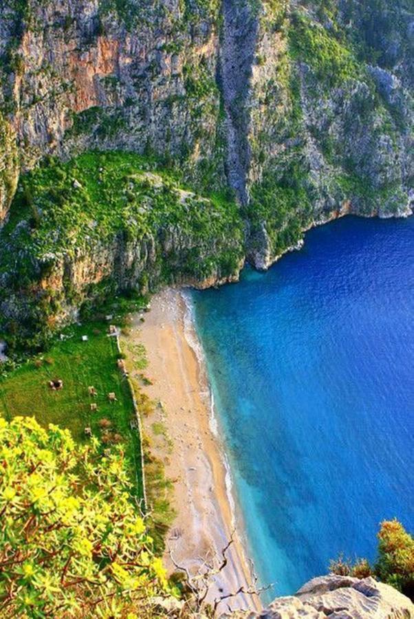 Green Forest Holiday Village Oludeniz Ngoại thất bức ảnh